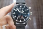 lWC-Pilot Timer W377729
