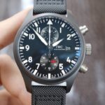 lWC-Pilot Timer W377729
