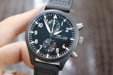 lWC-Pilot Timer W377729