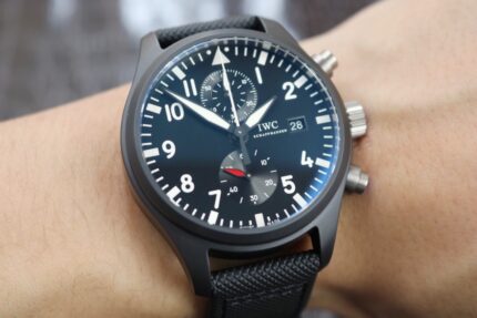 lWC-Pilot Timer W377729