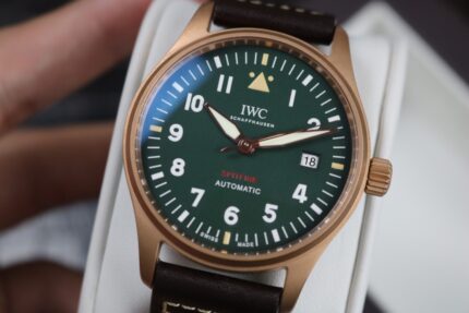 lWC-Bronze Mark Fire-Breathing Fighter Jet