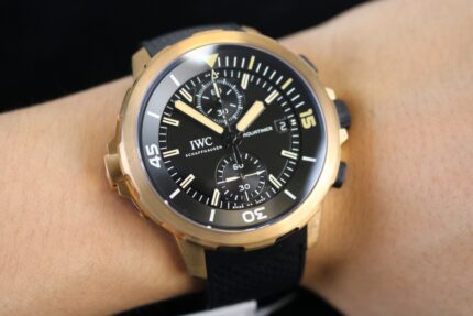 lWC-Journey Darwin 44MM
